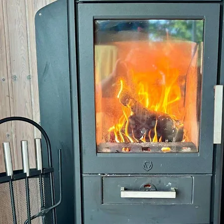 Tatil Evi Ferienhaus-in-ruhiger-lage-mit-kamin-terrasse-und-grenznaehe Skovmose