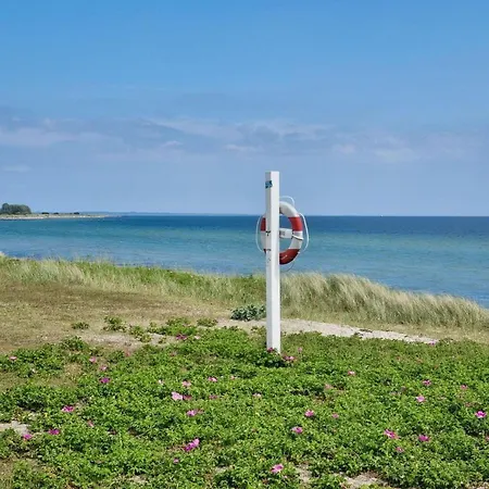Ferienhaus-in-ruhiger-lage-mit-kamin-terrasse-und-grenznaehe Tatil Evi *